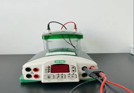 IMG_20220114_100217.jpg IMG_20220114_100217.jpg